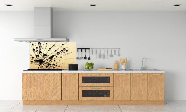 Cooker splashback Dandelion seed