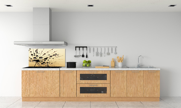 Cooker splashback Dandelion seed