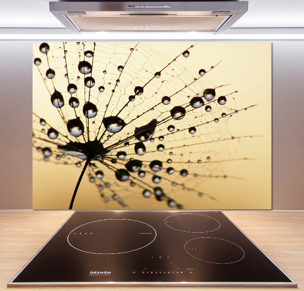 Cooker splashback Dandelion seed