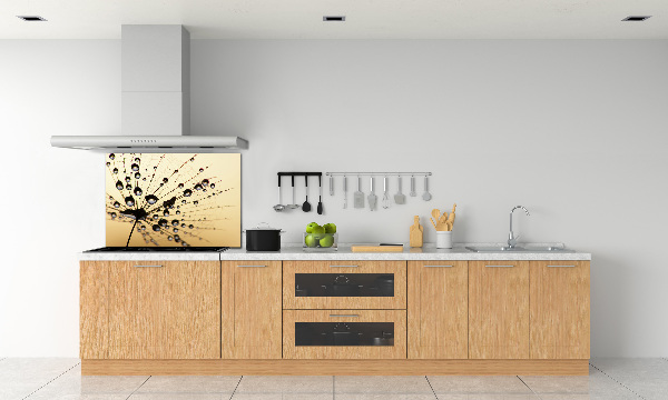 Cooker splashback Dandelion seed