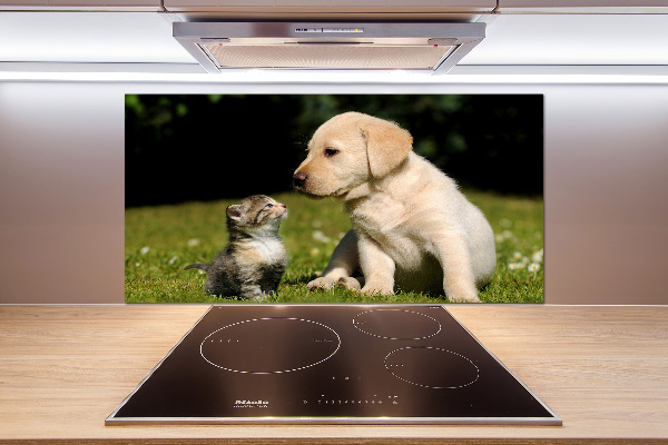 Kitchen splashback A dog and a cat in the meadow