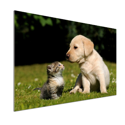 Kitchen splashback A dog and a cat in the meadow