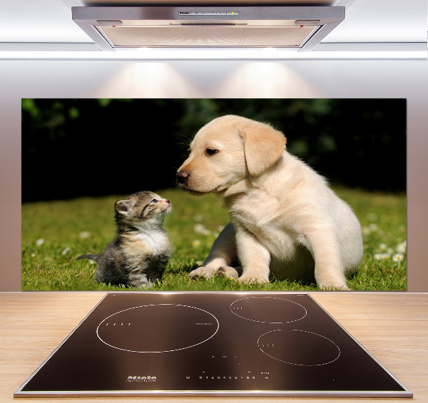 Kitchen splashback A dog and a cat in the meadow