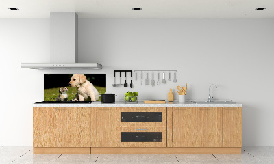 Kitchen splashback A dog and a cat in the meadow