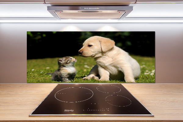 Kitchen splashback A dog and a cat in the meadow