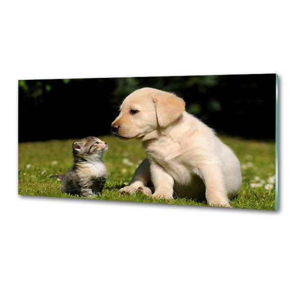 Kitchen splashback A dog and a cat in the meadow