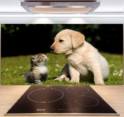 Kitchen splashback A dog and a cat in the meadow