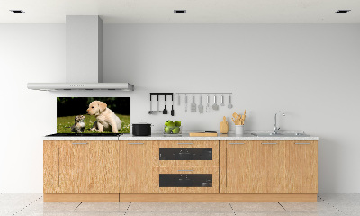 Kitchen splashback A dog and a cat in the meadow