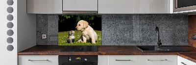 Kitchen splashback A dog and a cat in the meadow