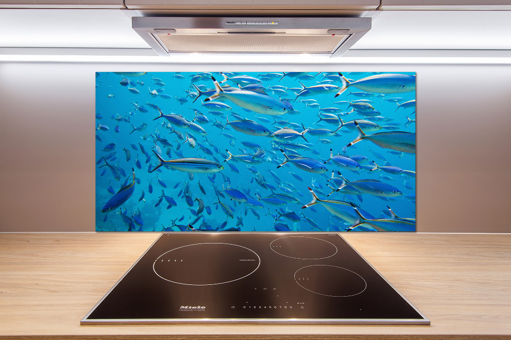 Glass splashback Coral fish