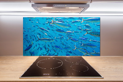 Glass splashback Coral fish