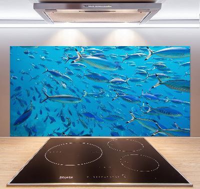 Glass splashback Coral fish