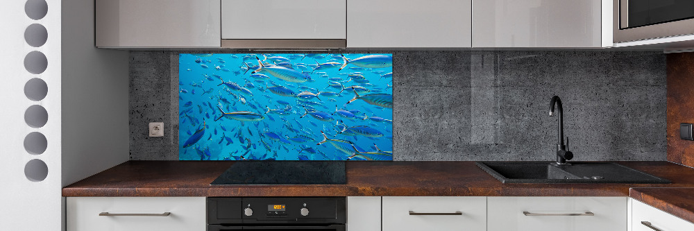 Glass splashback Coral fish