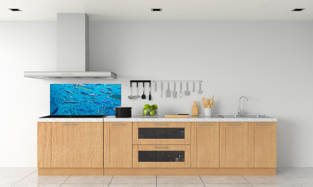 Glass splashback Coral fish