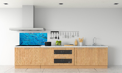 Glass splashback Coral fish