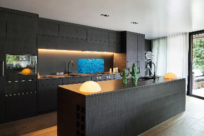 Glass splashback Coral fish