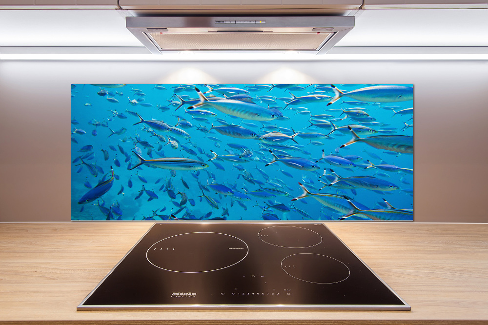 Glass splashback Coral fish