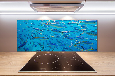 Glass splashback Coral fish