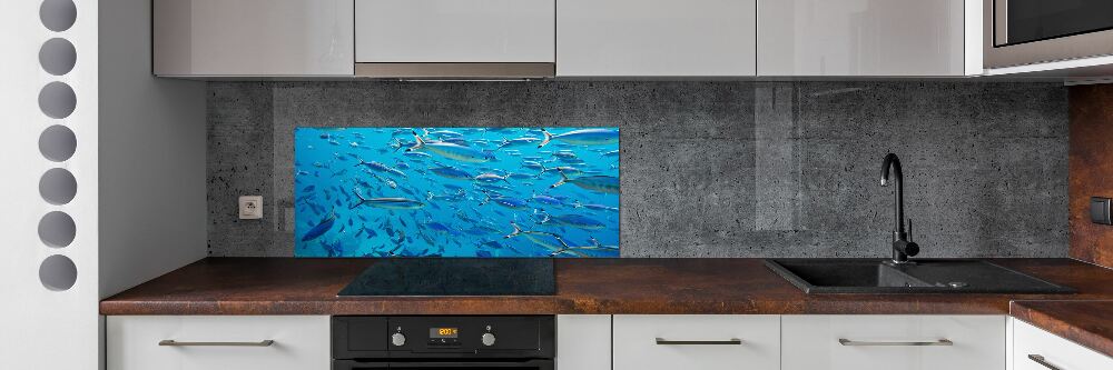 Glass splashback Coral fish