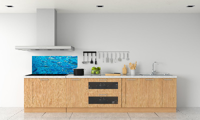 Glass splashback Coral fish