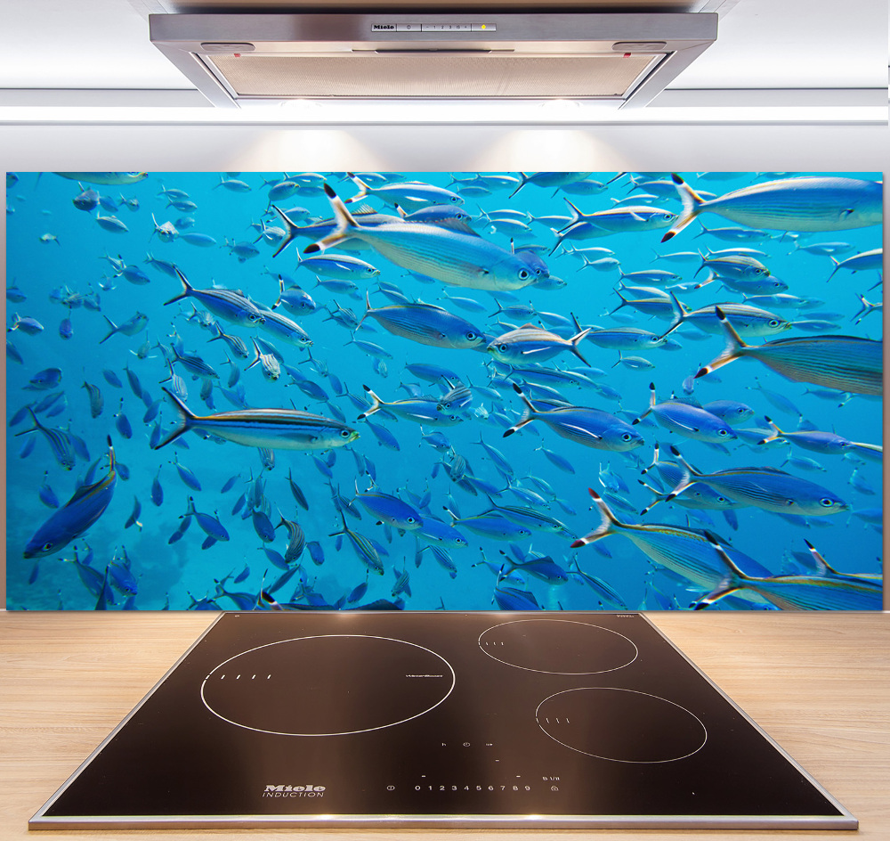 Glass splashback Coral fish