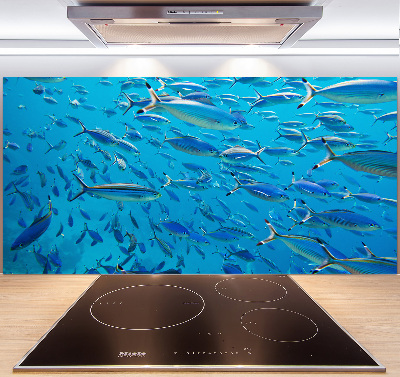 Glass splashback Coral fish