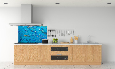 Glass splashback Coral fish