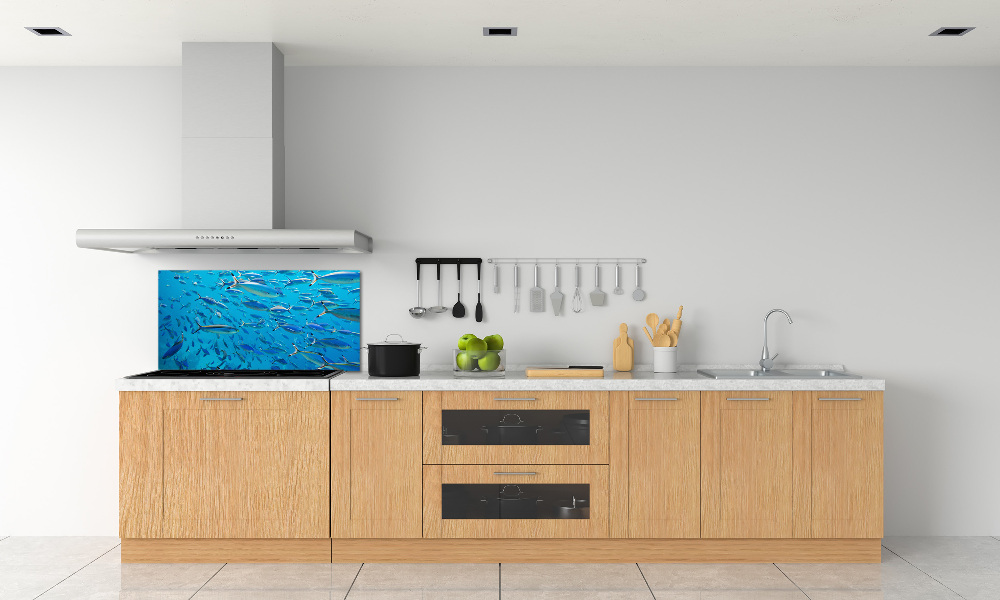 Glass splashback Coral fish