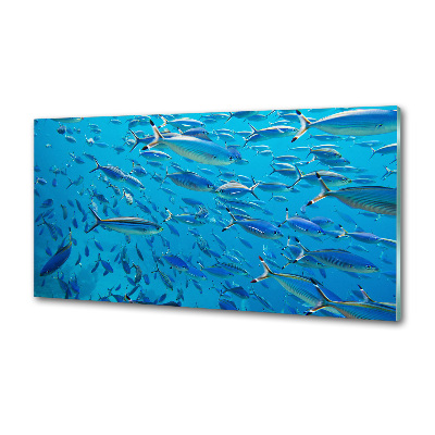 Glass splashback Coral fish