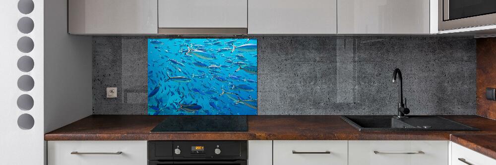 Glass splashback Coral fish