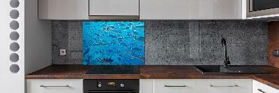 Glass splashback Coral fish