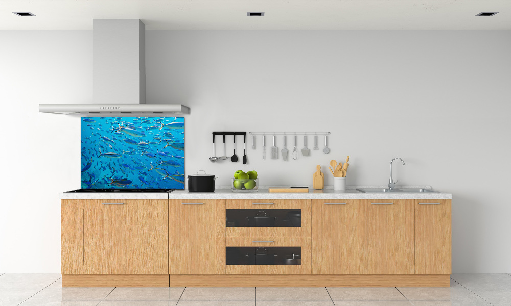 Glass splashback Coral fish