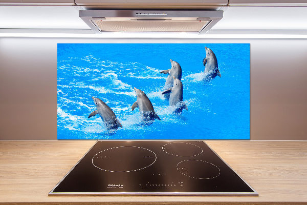 Cooker splashback Dolphins