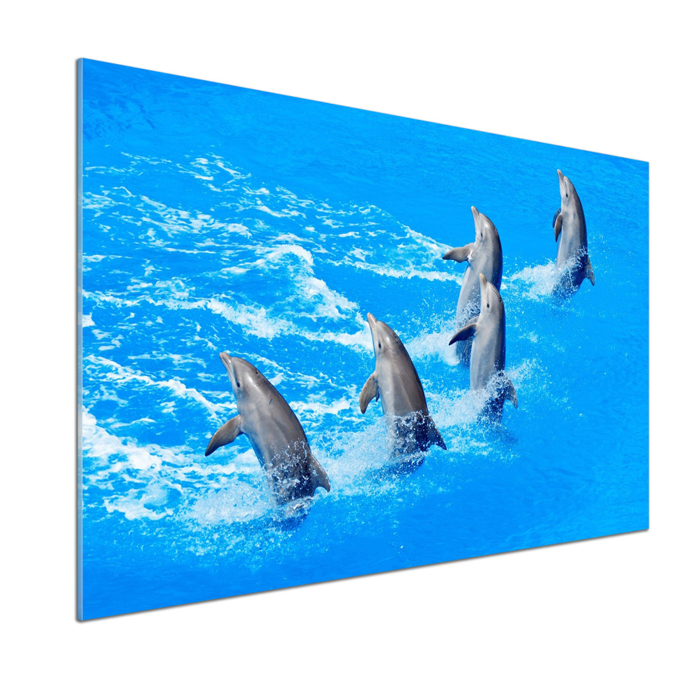 Cooker splashback Dolphins