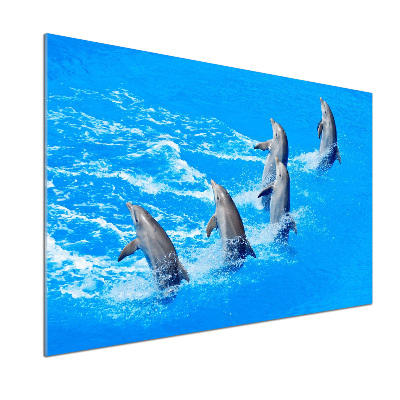 Cooker splashback Dolphins