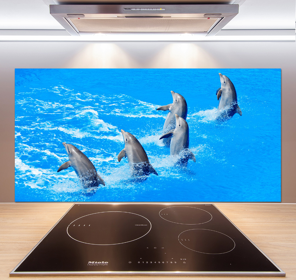 Cooker splashback Dolphins