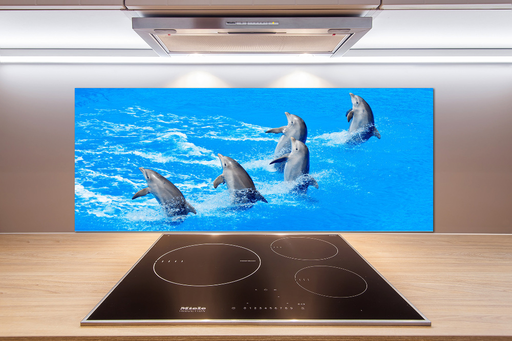 Cooker splashback Dolphins