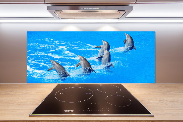 Cooker splashback Dolphins