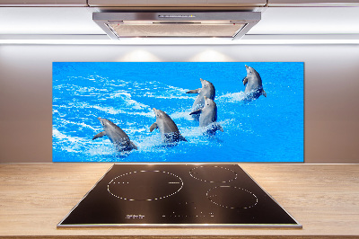 Cooker splashback Dolphins