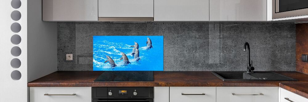 Cooker splashback Dolphins