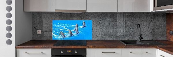 Cooker splashback Dolphins