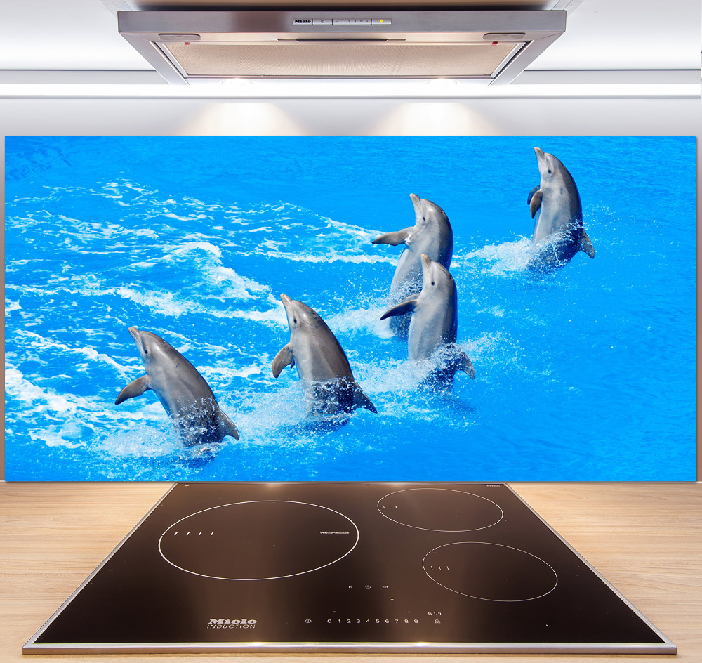 Cooker splashback Dolphins