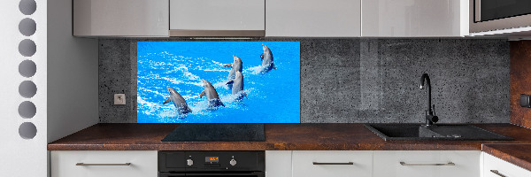 Cooker splashback Dolphins