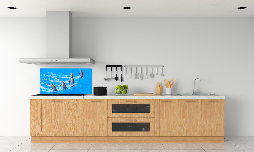 Cooker splashback Dolphins