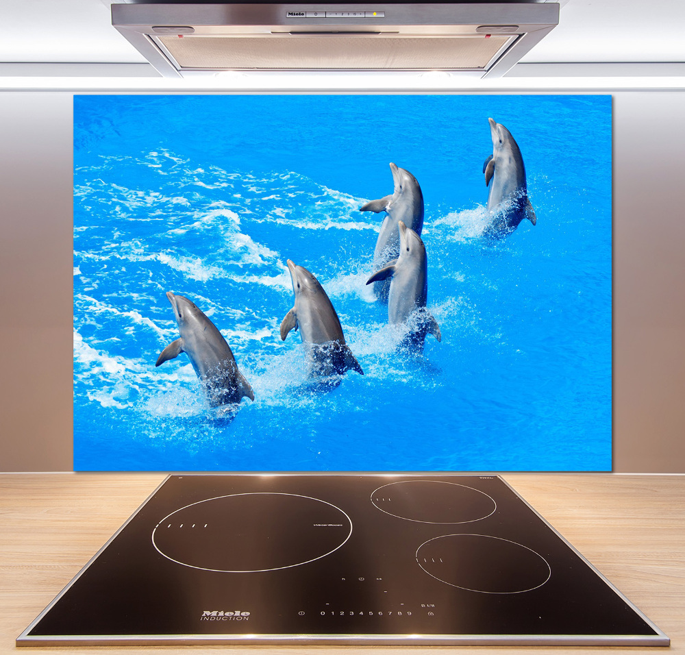 Cooker splashback Dolphins