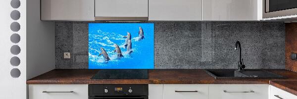 Cooker splashback Dolphins