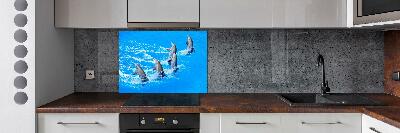 Cooker splashback Dolphins