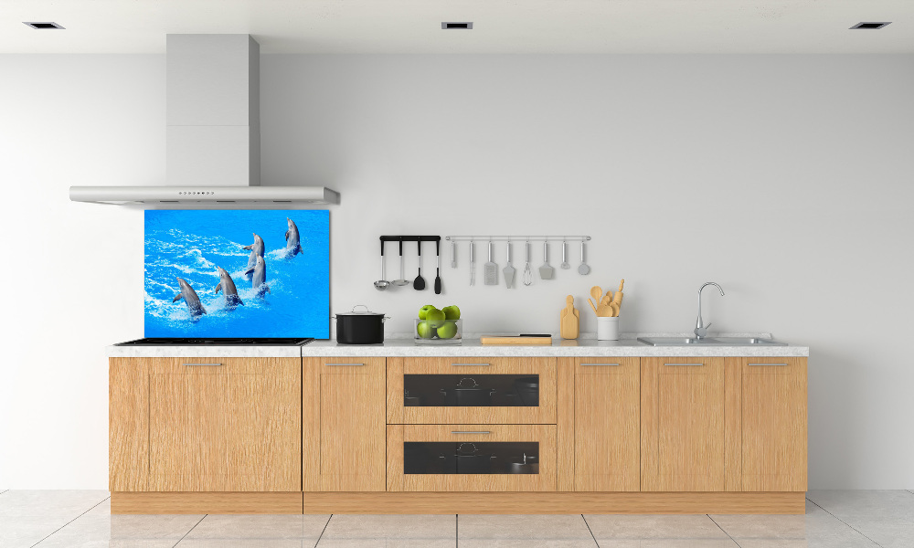 Cooker splashback Dolphins