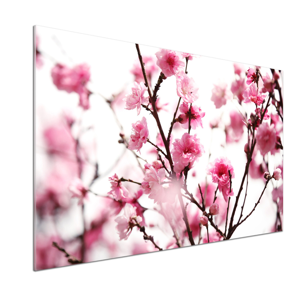 Cooker splashback Plum flower