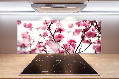 Cooker splashback Plum flower